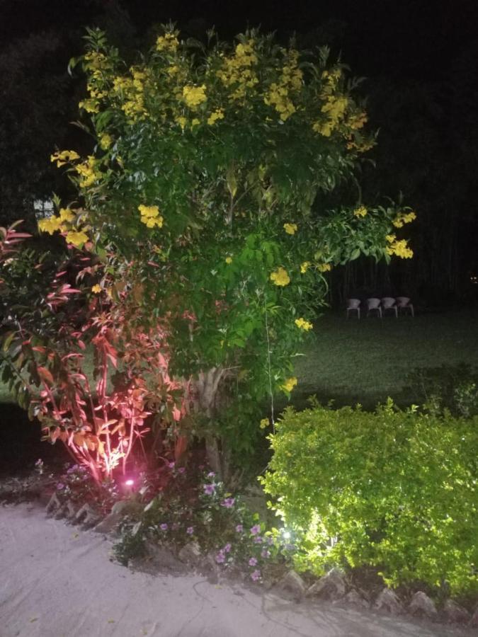 Lime Wood Riverside Resort Jim Corbett National Park Exterior foto